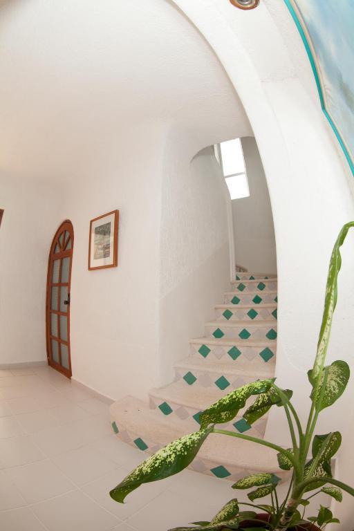 Villas Flamingo Akumal Værelse billede