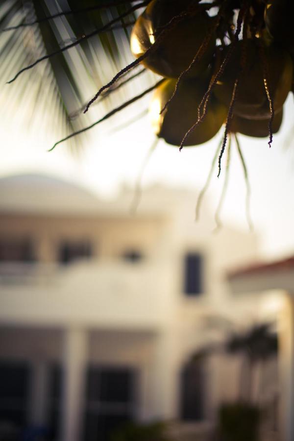 Villas Flamingo Akumal Eksteriør billede